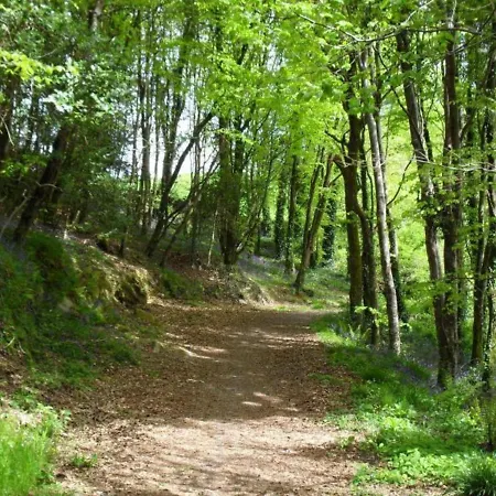 Appartamento Lovely Sea View In Rineen - 4 Guests *